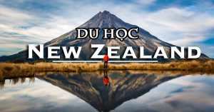 Chương trình hỗ trợ sinh viên du học New Zealand 2024