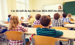 Các độ tuổi du học Hà Lan 2024-2025 cho HSSV