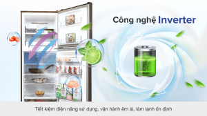 Những lưu ý khi lựa chọn tủ lạnh inverter