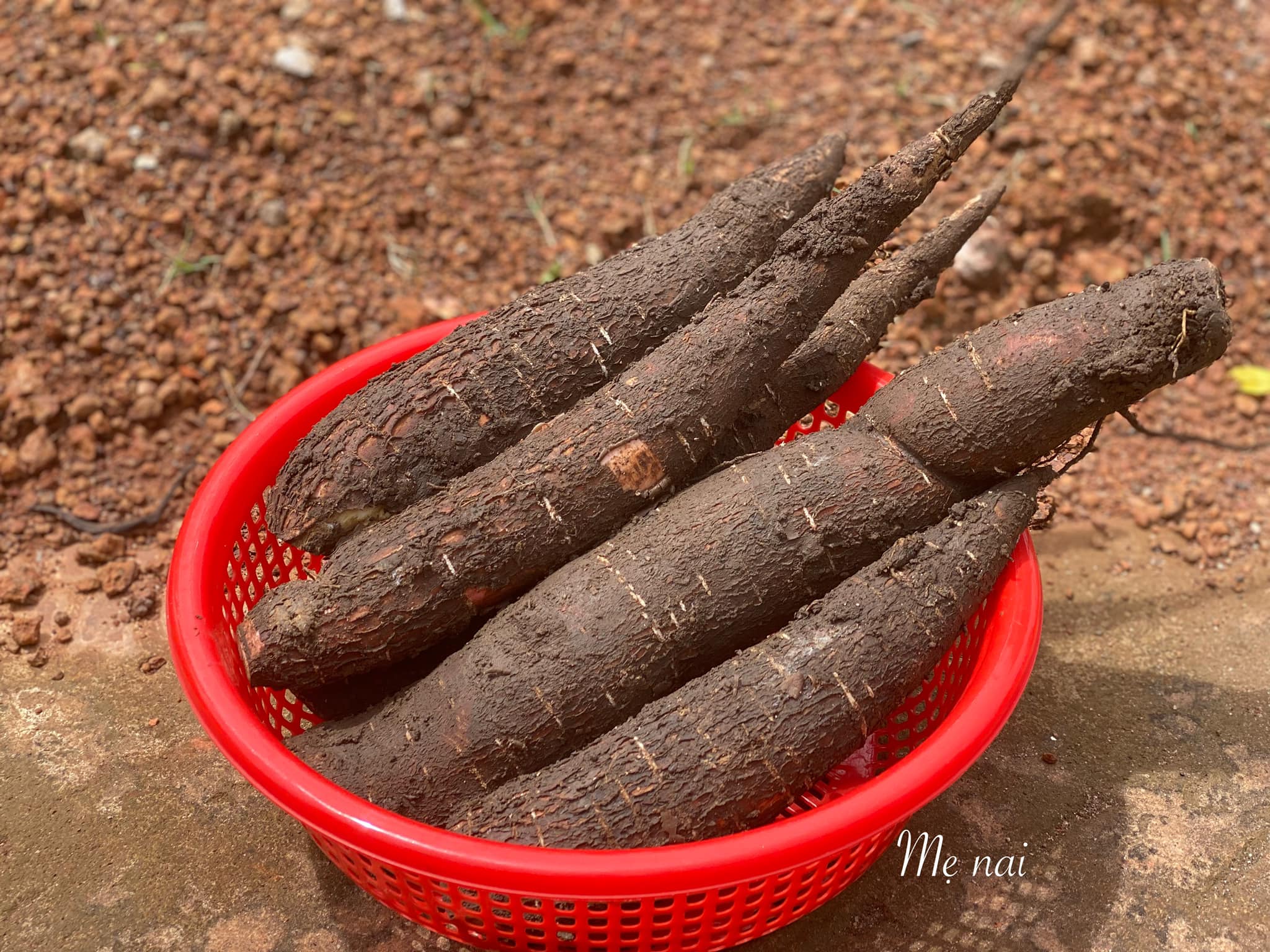 Trời se lạnh, làm ngay món xôi sắn đãi cả nhà - 2